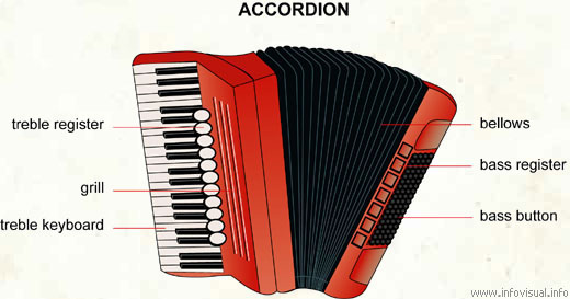 Accordion  (Visual Dictionary)